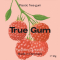 True Gum žvečilni gumi (različni okusi)
